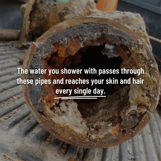 The ShowerHead - FilterHead™